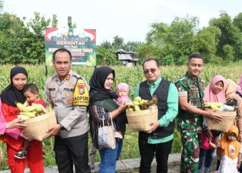 Dukung Ketahanan Pangan Nasional, Kapolres Madiun Kota Selenggarakan Panen Raya Jagung Serentak.
