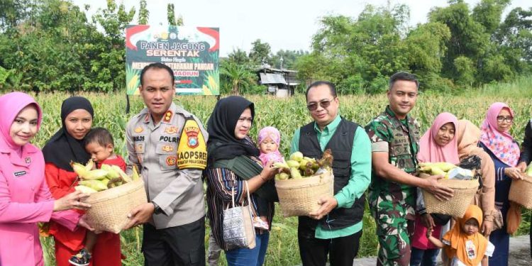 Dukung Ketahanan Pangan Nasional, Kapolres Madiun Kota Selenggarakan Panen Raya Jagung Serentak.