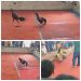 Warga Bertanya Kemana APH..? Sabung Ayam di Kec. Soko, Mojokerto Bebas Beroprasi