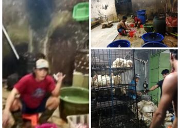 Dinas Perizinan Mojokerto Diduga Takberdaya Dihadapan Kepala Desa Jetis dan RT Pelabuhan