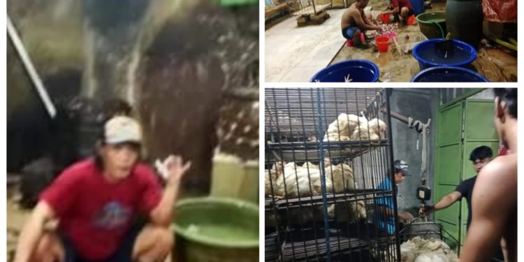 Dinas Perizinan Mojokerto Diduga Takberdaya Dihadapan Kepala Desa Jetis dan RT Pelabuhan 