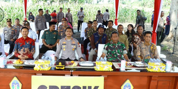 Dukung Swasembada Pangan 2025, Kapolres Gresik Penen Raya Jagung di Panceng
