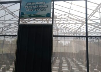 Desa Pengalangan Hancur di Tangan Abdul Muntolib: Proyek Kosong, Dana Hilang, Warga Dikhianati