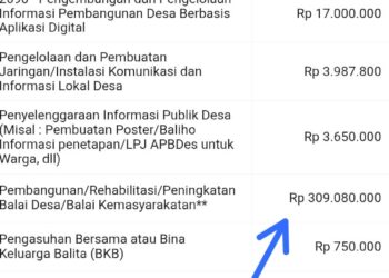 Sidowarek Diduga Langgar Batas Penggunaan Dana Desa: Rp309 Juta Dibelanjakan untuk Balai Desa