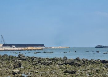 Diduga Melebihi Batas Izin, PT Orela Shipyard Menjadi Sorotan