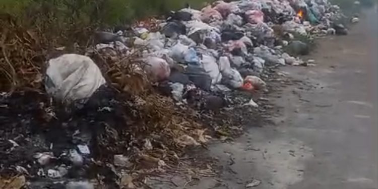 Tumpukan Sampah Menjadi Edu Wisata Baru Di Balongpanggang